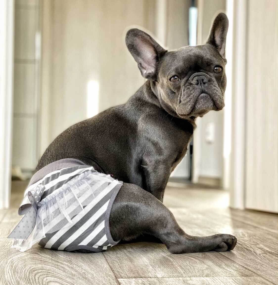 Hárací kalhotky pro psy